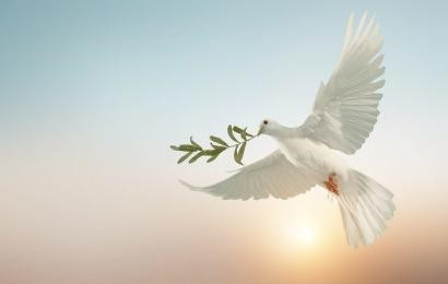 Послание Папы Франциска на LVI Всемирный день мира